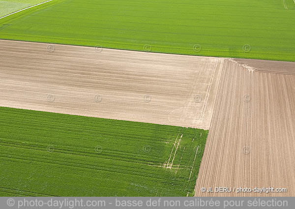 agriculture - Hesbaye